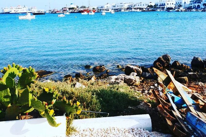 paros-private-tour-exploring-the-beaches