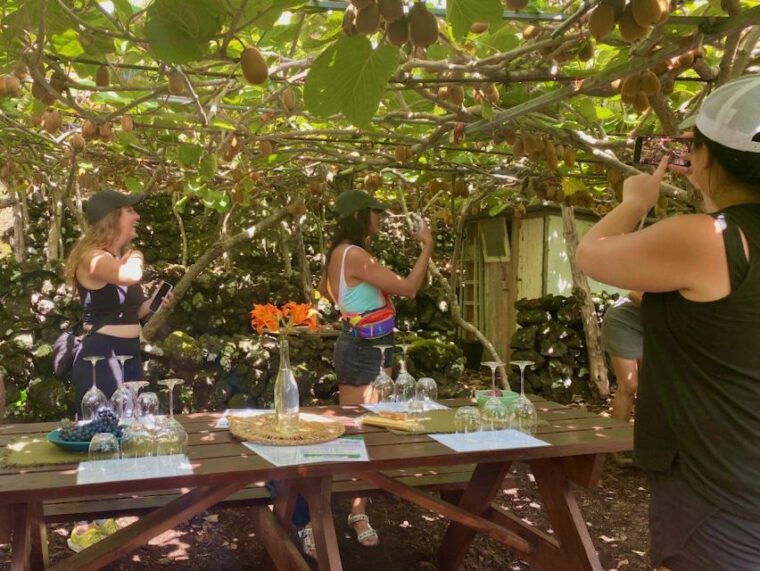 pico-island-wine-tasting-independent-producers-culture