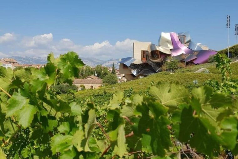 premium-wine-tour-of-rioja-with-gourmet-lunch-from-bilbao