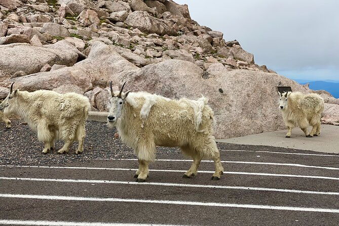 private-full-day-mount-blue-sky-red-rocks-tour-from-denver