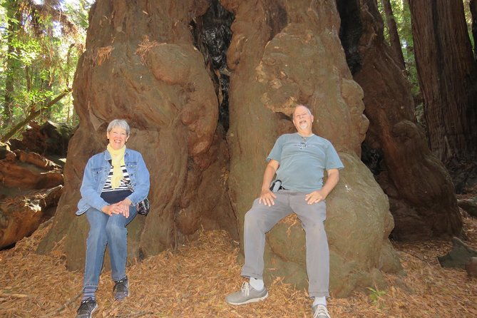 private-redwoods-tour-beach-horseback-riding-experience-from-san-francisco