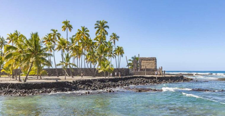 private-shore-excursion-kona-coffee-national-historic-park