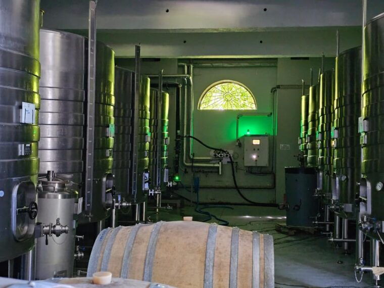private-sommelier-tour-verde-e-douro-3-wineries-and-lunch