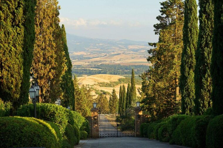 private-tour-and-wine-tasting-at-castle-wineries-in-chianti