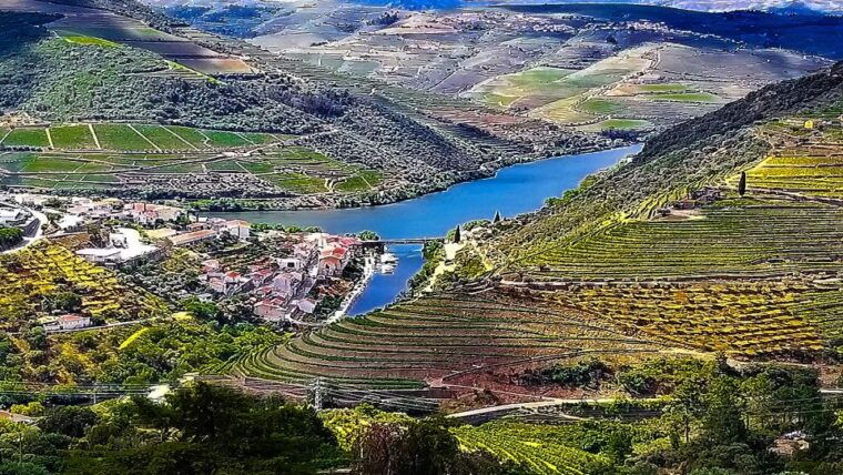 private-tour-to-stunning-douro-valley-and-renowned-wineries