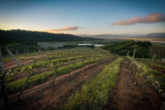 private-valparaiso-visit-kingston-winery-transfer-to-hotel