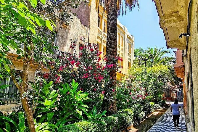 private-walking-tour-to-barrio-yungay-santiago