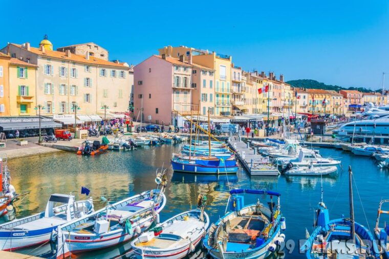 provence-day-saint-tropez-grimaud-village-wine-tasting