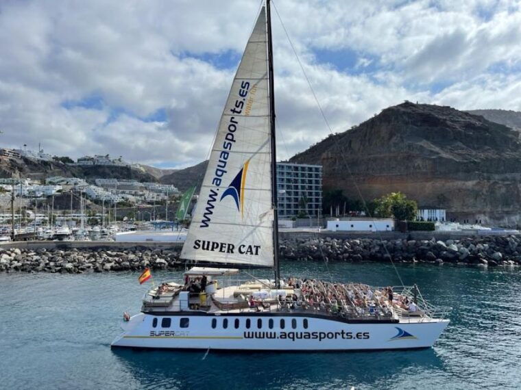 puerto-rico-2-hour-dolphin-catamaran-excursion
