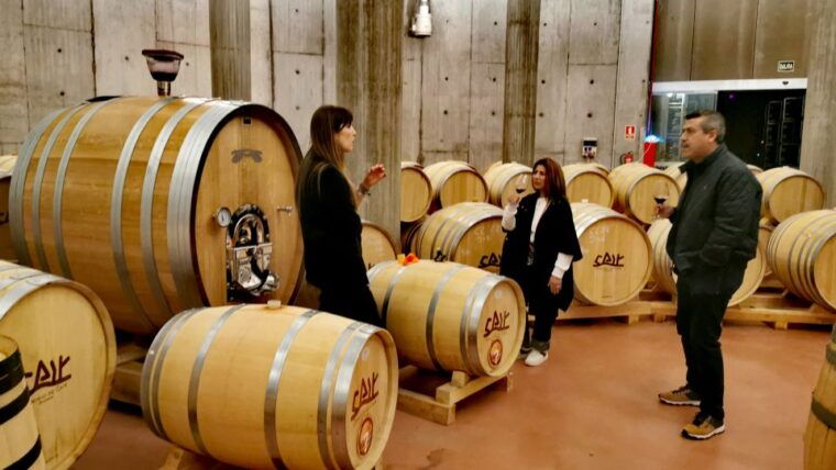 ribera-del-duero-wine-region-private-tour