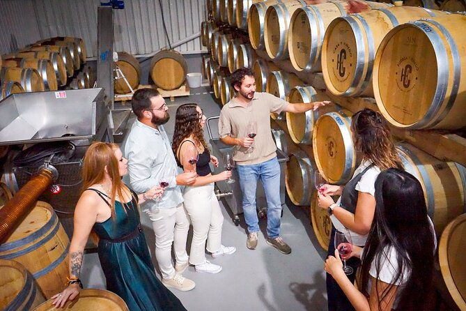 ronda-from-malaga-top-quality-wine-tour-city-exploring