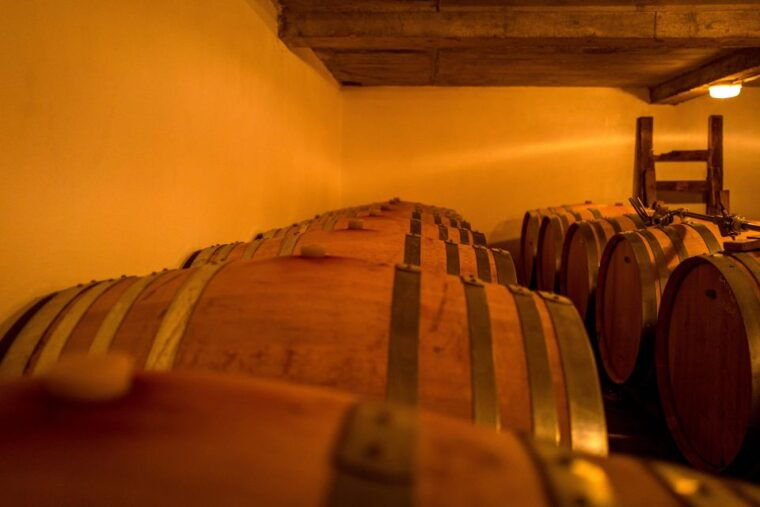 saint-emilion-wine-tour-by-electric-bike-and-lunch