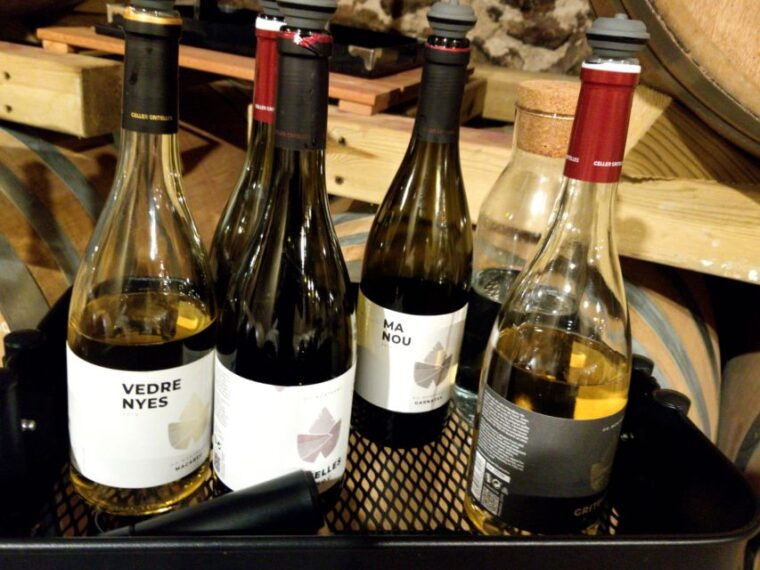 salou-priorat-tasting-wine-cellar-tour-with-hotel-pickup