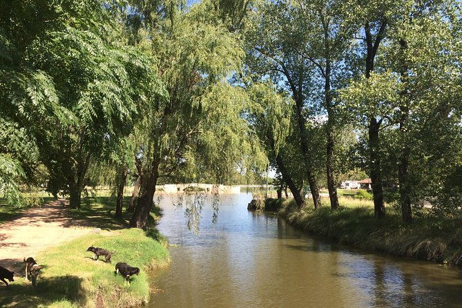 san-antonio-de-areco-and-lujan-day-trip-from-buenos-aires