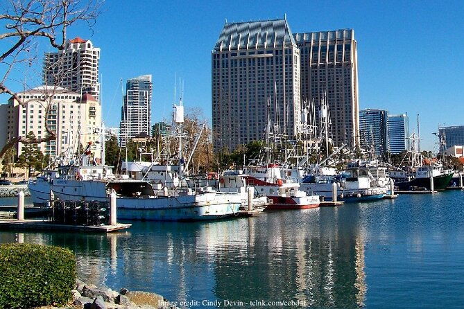san-diego-in-a-day-private-full-day-highlights-driving-tour