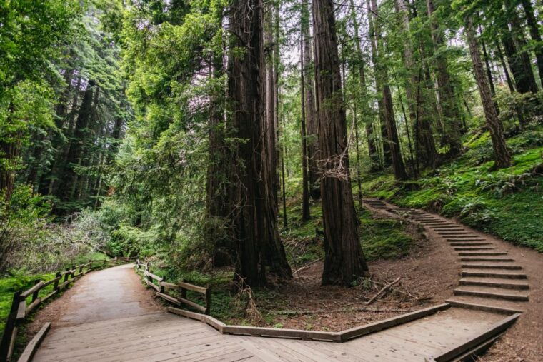 san-francisco-muir-woods-napa-sonoma-valley-wine-tour