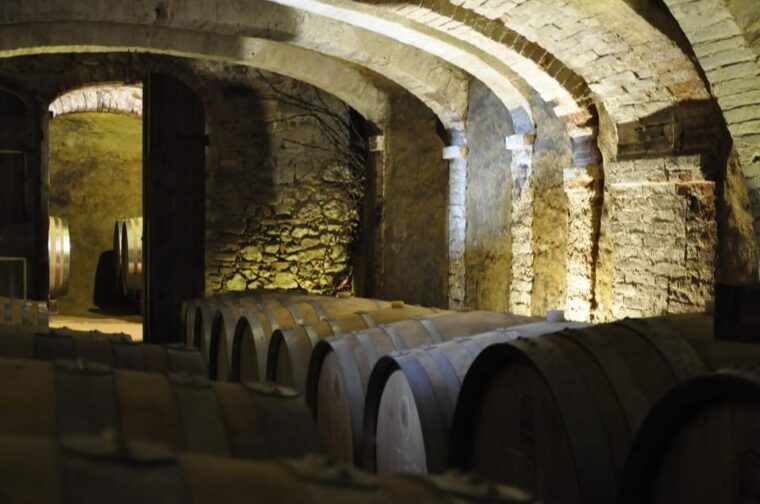 san-gimignano-wine-tasting-in-an-organic-family-winery