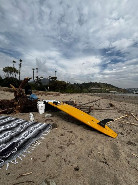 santa-monica-surfing-day-trip-with-lunch
