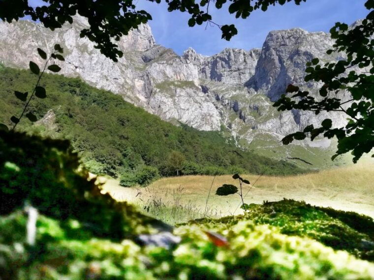 santander-picos-santo-toribio-monastery-and-potes-day-tour