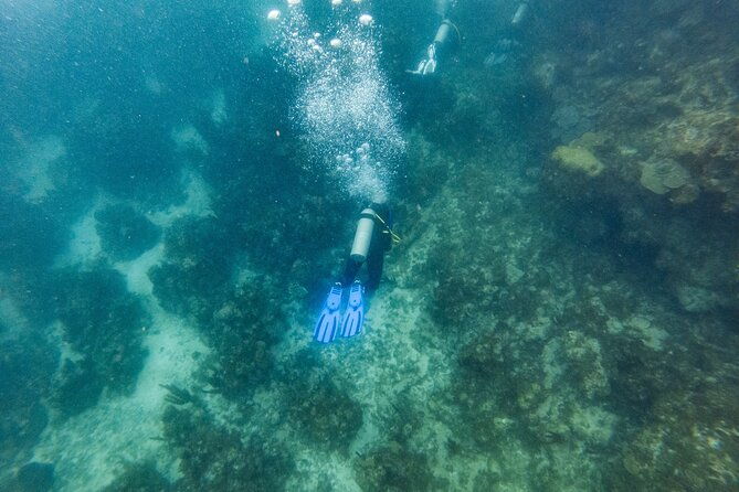 scuba-dive-in-the-west-end-of-roatan-with-private-transfer