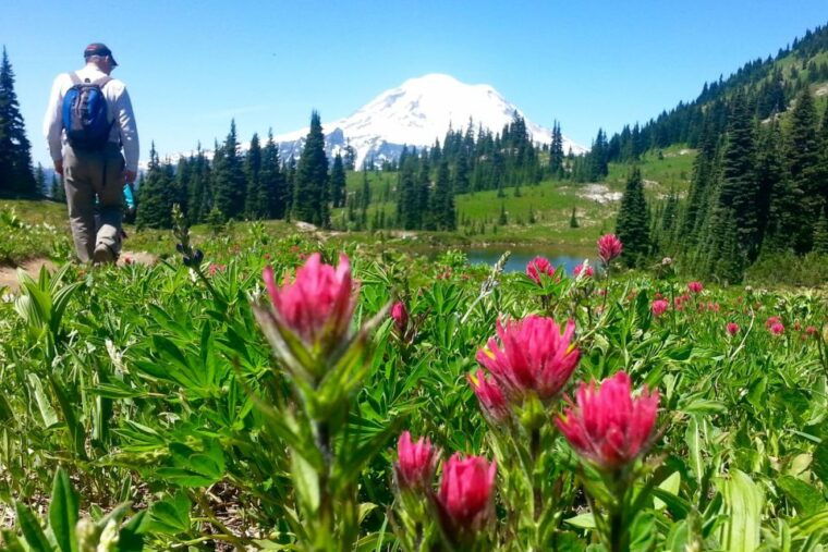 seattle-mount-rainier-park-all-inclusive-small-group-tour