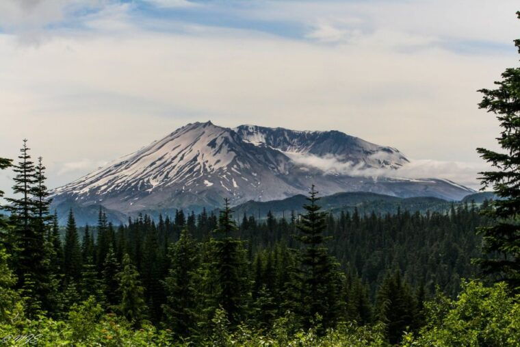 seattle-mt-st-helens-national-monument-small-group-tour