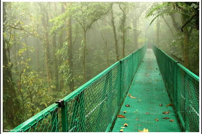 selvatura-hanging-bridges-admission-ticket