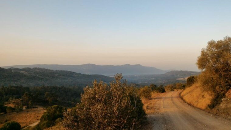 setubal-romantic-picnic-sunset-wine-experience
