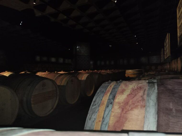 setubal-wine-tour-discover-the-moscatel-wine
