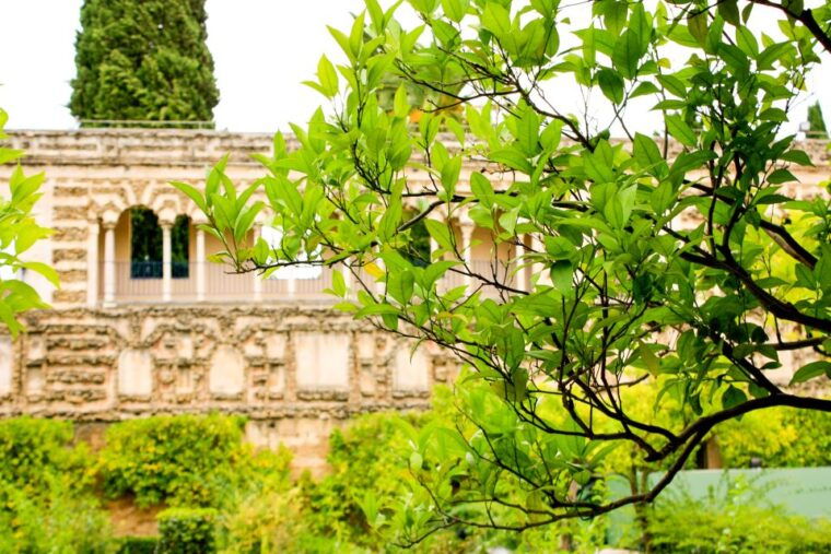 seville-alcazar-skip-the-line-guided-tour-with-tickets