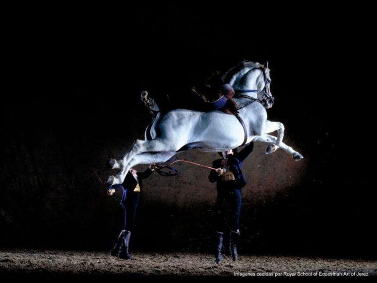 seville-jerez-cadiz-wine-tasting-with-optional-horse-show