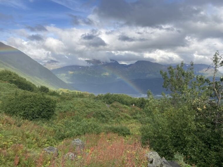 seward-guided-wilderness-hike-with-transfer