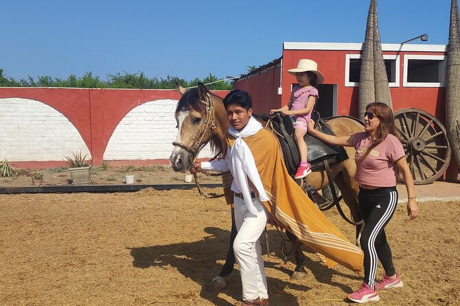 shore-excursion-from-salaverry-marinera-city-tour-in-trujillo
