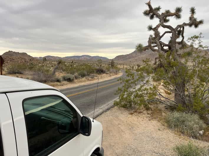 sightseeing-adventure-tour-of-joshua-tree-park-max-10