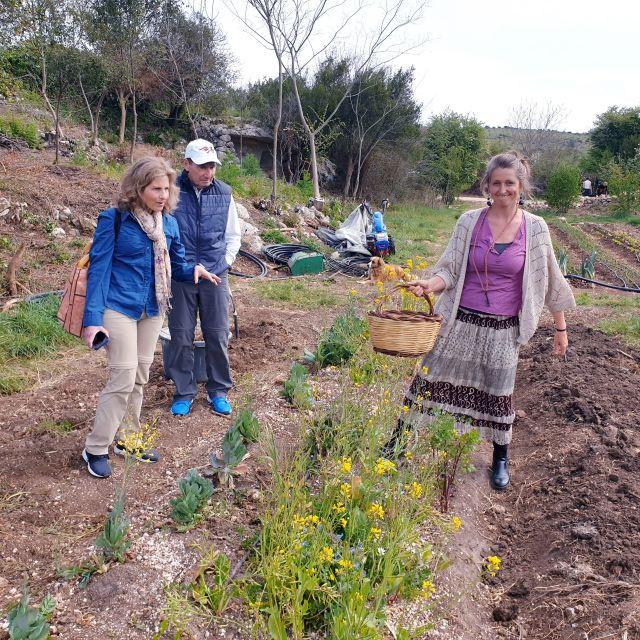 slowlife-family-farm-from-garden-to-table