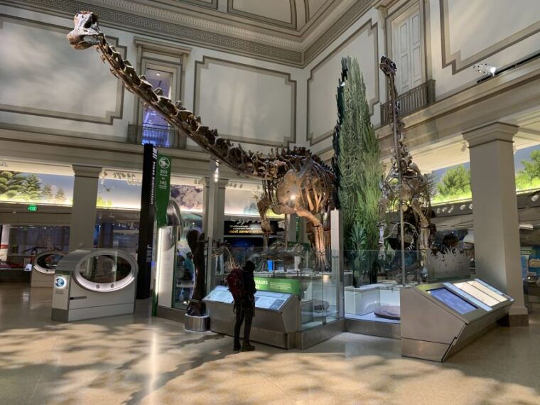 smithsonian-national-museum-of-natural-history-guided-tour