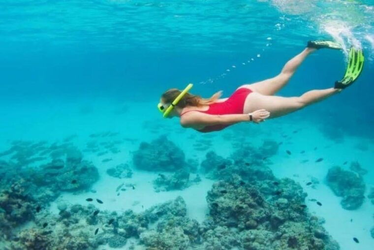 snorkeling-lunch-in-nature-reserve-garajau