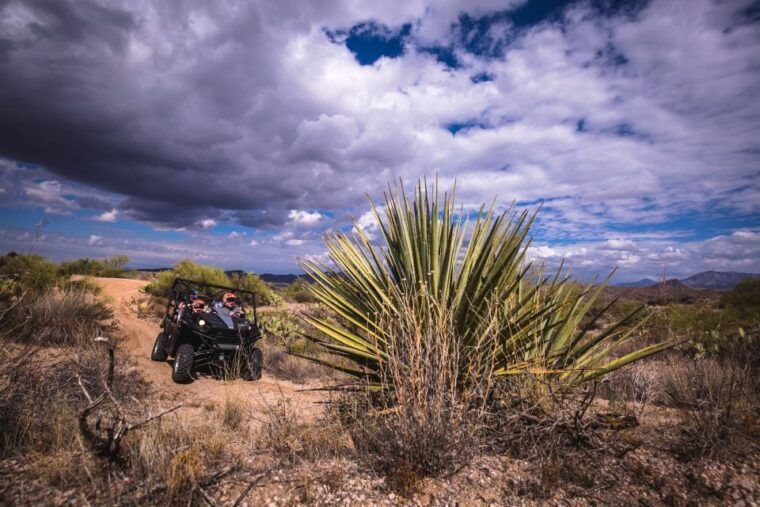sonoran-desert-guided-2-hour-utv-adventure