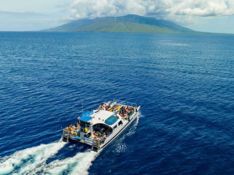 south-maui-molokini-turtle-town-snorkeling-tour-with-meal