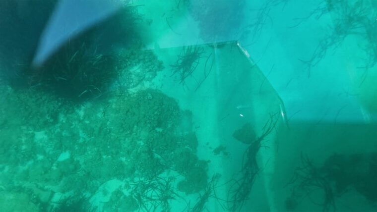 syracuse-coastsea-caves-full-transparent-private-boat-tour