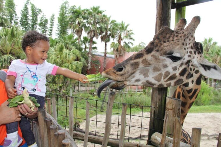 tampa-bay-citypass-save-up-to-55-at-5-top-attractions