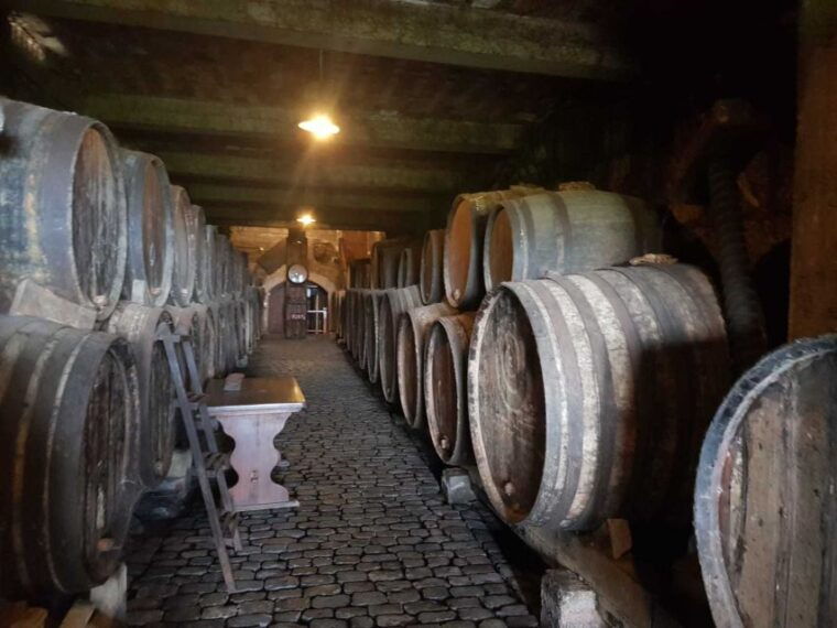 tenerife-4-hour-gauchinche-food-tour