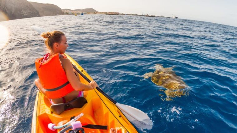 tenerife-kayak-snorkeling-tour-small-groups