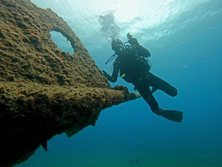 third-angra-do-heroismo-scuba-diving-tour-with-2-dives