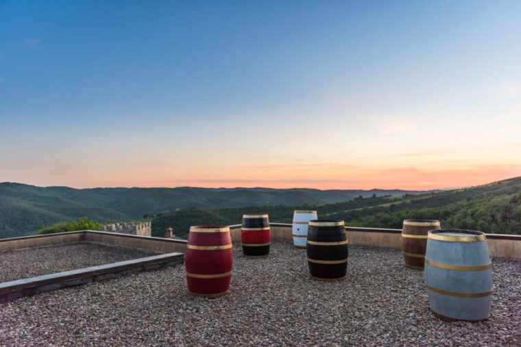 total-immersion-wine-tour-in-chianti