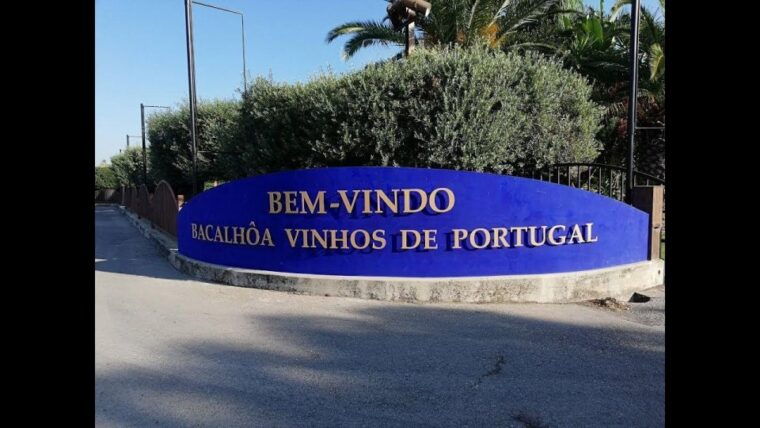 tour-private-wine-tasting