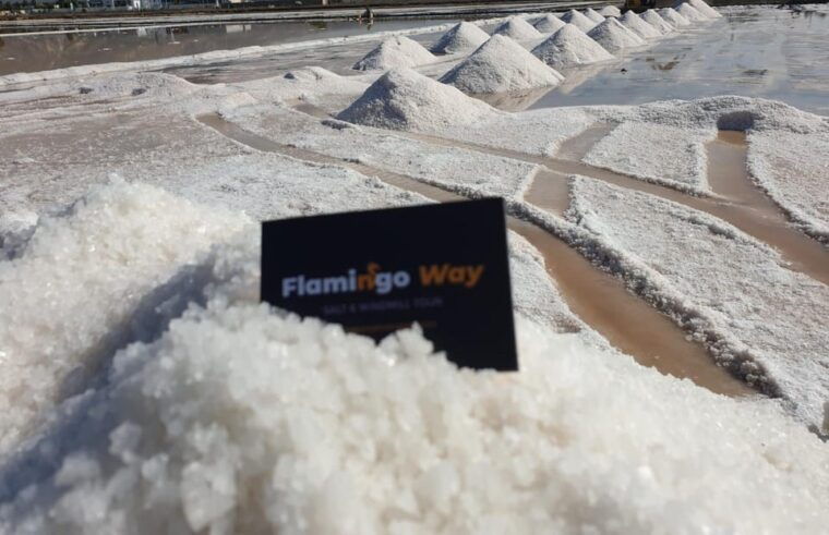trapani-salt-pans-sunset-tour-and-flamingo-way
