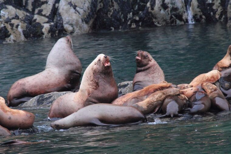 valdez-6-hour-columbia-glacier-cruise