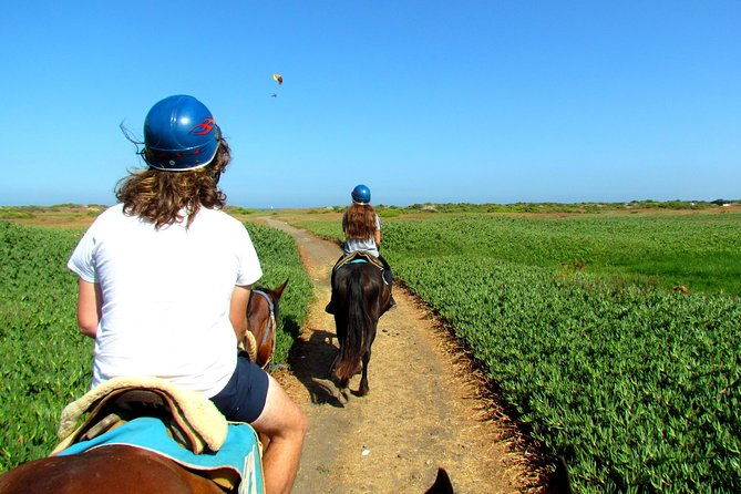 vina-del-mar-and-valparaiso-private-tour-including-horseriding