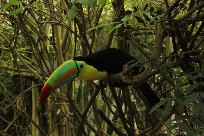 visit-to-la-reserva-biopark-private-tour-6-hrs